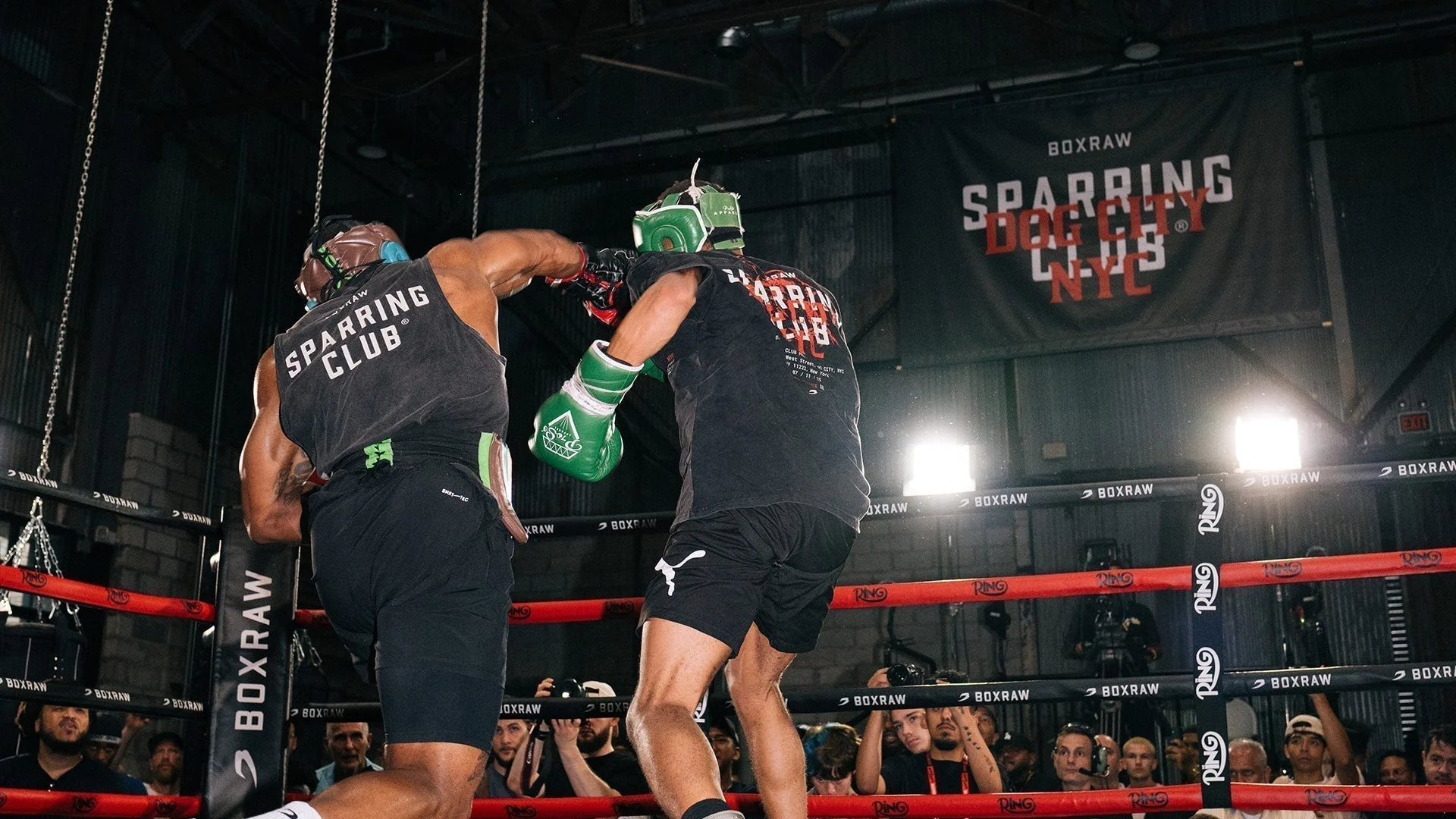 Boxeraw Sparing Club Dog City New York City