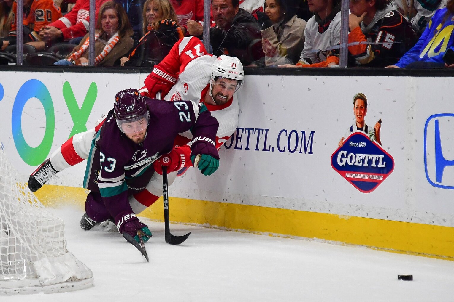 Die Ducks sind der perfekte Geschäftspartner für Dylan Larkin – Minnesota Wild