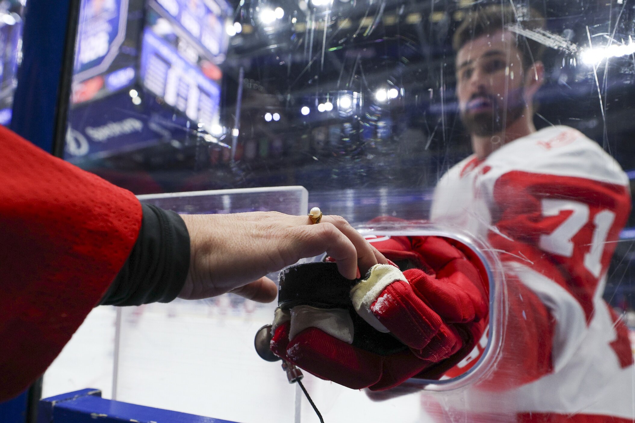 Ein Trade für Dylan Larkin würde die Wild dazu zwingen, Sophie's Choice – Minnesota Wild zu übernehmen