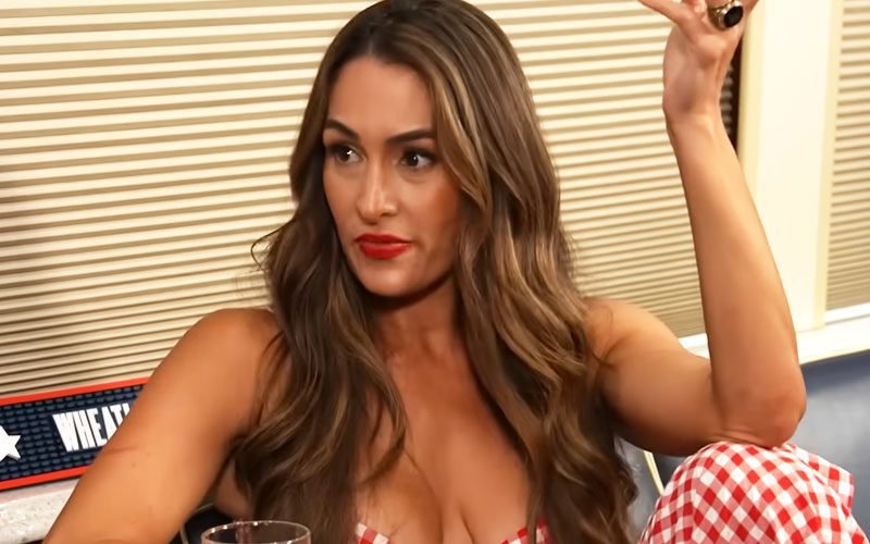 Nikki Bella verrät, dass sie nach ihrer Genesung von einer Verletzung bald in den Ring zurückkehren wird