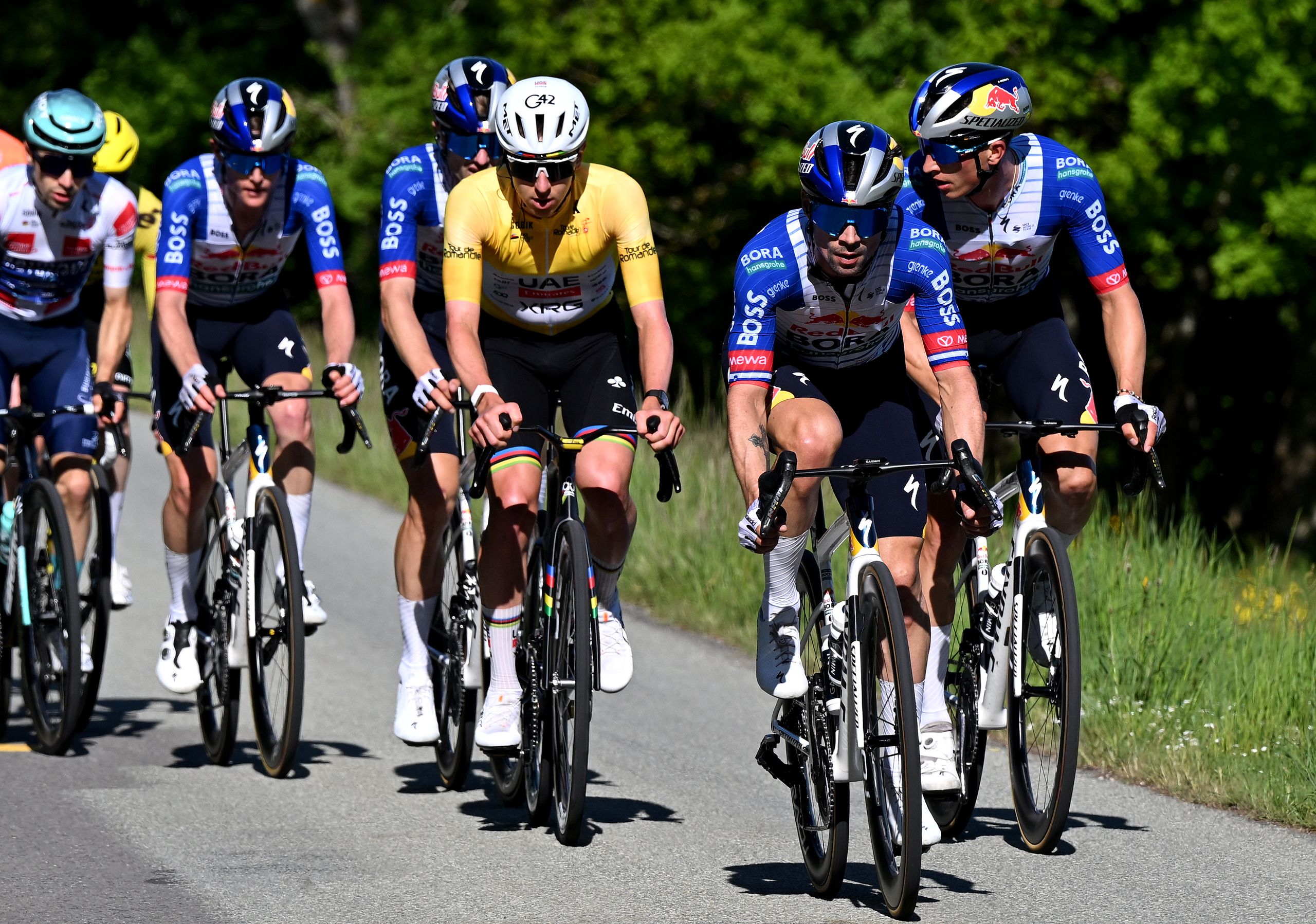 Primož Roglič tritt bei der Tour de Suisse gegen Tadej Pogačar an, um bei den sieben großen einwöchigen Radrennen eine vollständige Serie von GC-Titeln anzustreben