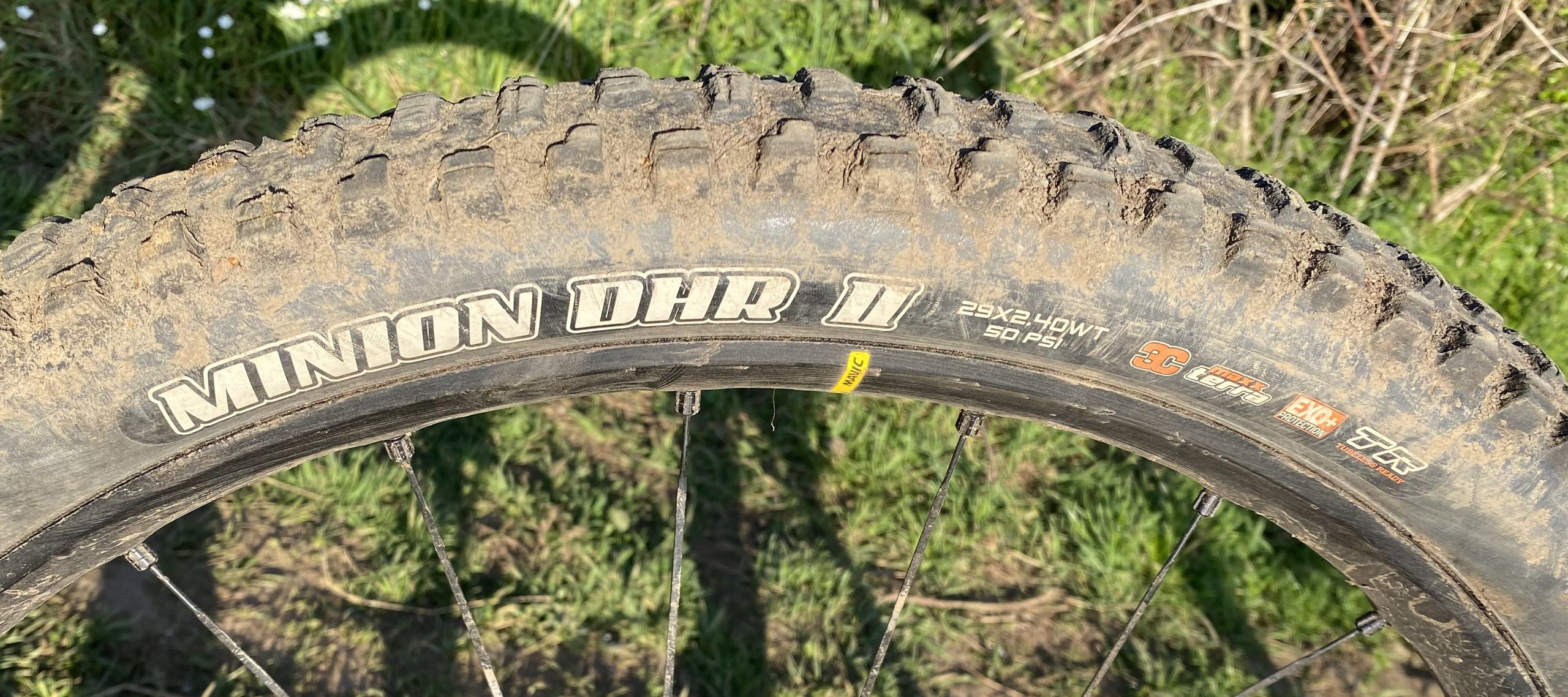 Testbericht zum Maxxis Minion DHR II