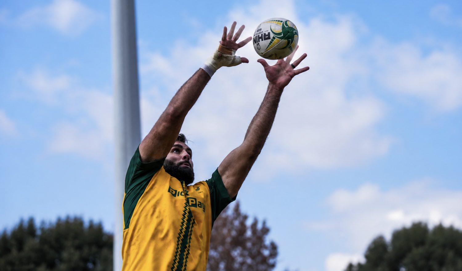 Warum Stormers Schlösser Bok zum Nicken bringen