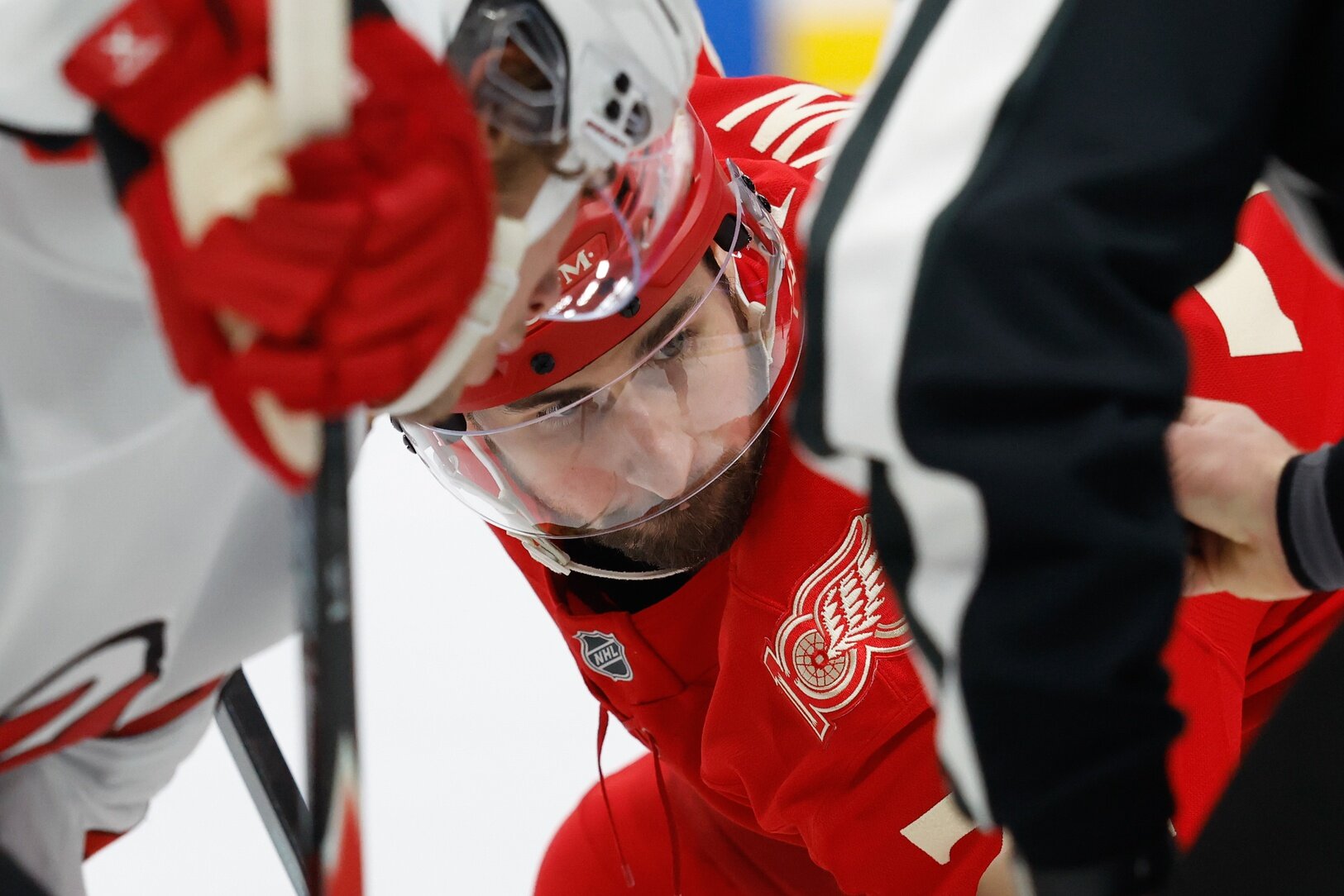 Wildnis hat nicht genug, um auf Dylan Larkin – Wilderness Walk zu landen